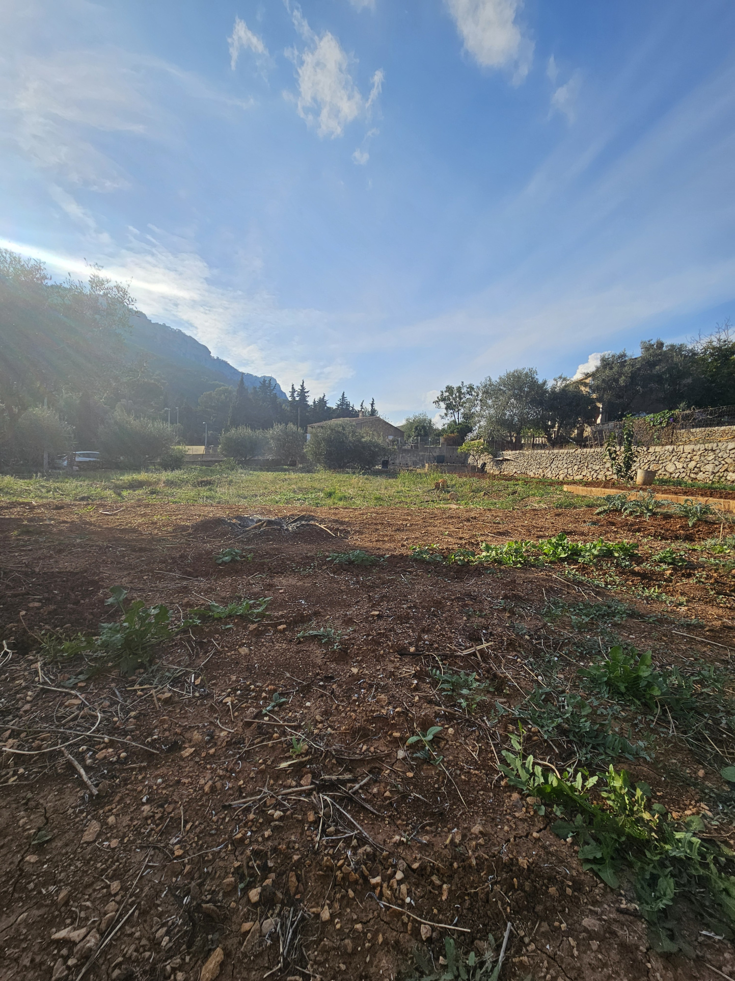 terrain à bâtir